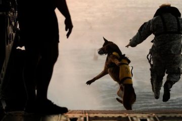 New info declassified about hero dog on al Baghdadi mission